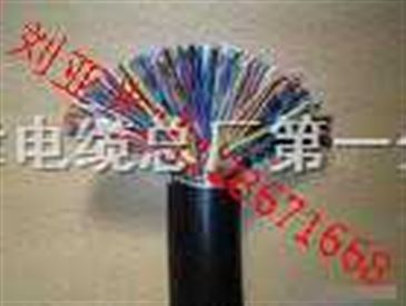 市內(nèi)通訊電纜 連接智慧城市的無(wú)形脈絡(luò)